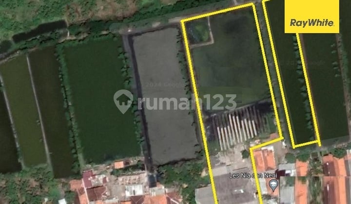 Dijual Tanah Dijalan Pandanwangi Pemalang Jawa Tengah Dijual Tanah Dijalan Pandanwangi Pemalang Jawa Tengah