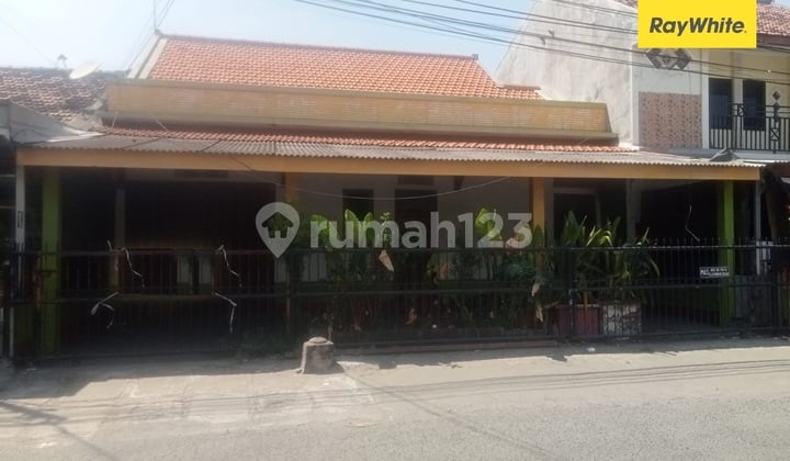 Disewakan Rumah Dijalan Ikan Mungsing Surabaya Disewakan Rumah Dijalan Ikan Mungsing Surabaya