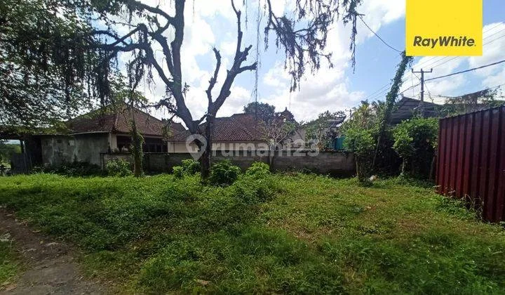 Dijual Tanah Strategis Di Negara Jembrana Bali Dijual Tanah Strategis Di Negara Jembrana Bali