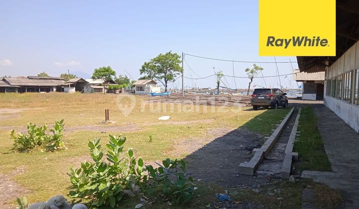 Dijual Tanah Dan Pabrik Di Tanjung Pecinan Situbondo