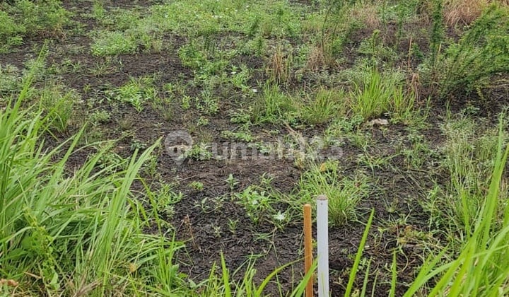 Dijual Tanah Di Dusun Wonomlati Krembung Sidoarjo