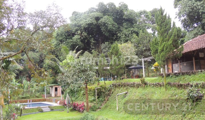 Villa Komersil Di Dramaga Bogor Lokasi Bagus