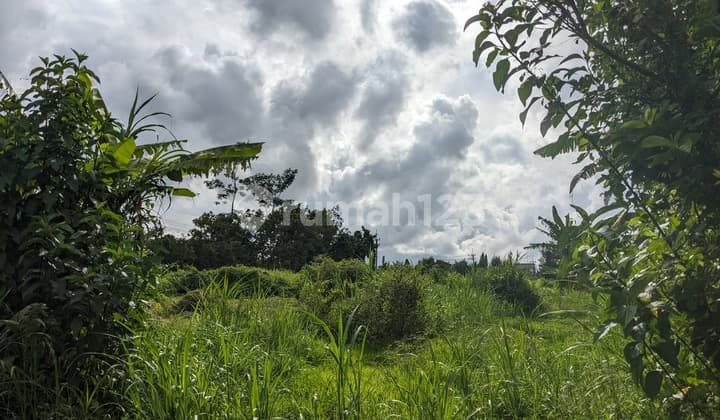 TANAH KAWASAN PERUMAHAN SHM DEKAT KAMPUS MALANG