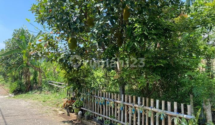 TANAH MURAH MALANG BISA NEGO READY SHM!!