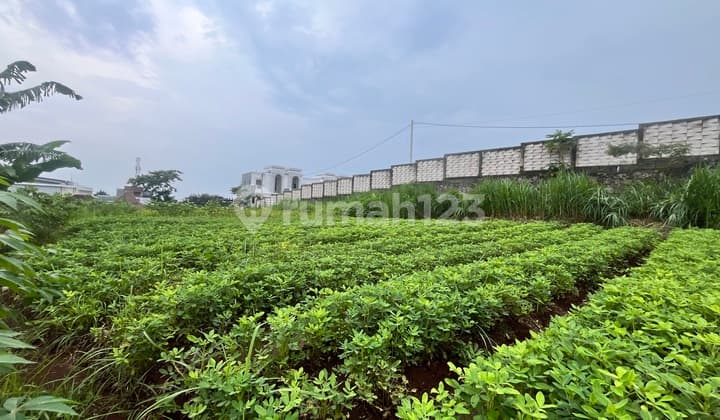 Investasi Properti Menjanjikan: Rumah Kost 10 Kamar