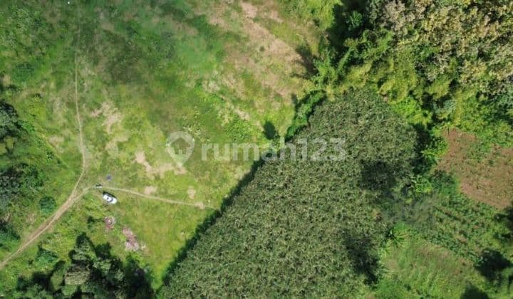 Tanah Kota Malang Bebas Macet dan Harga Rendah