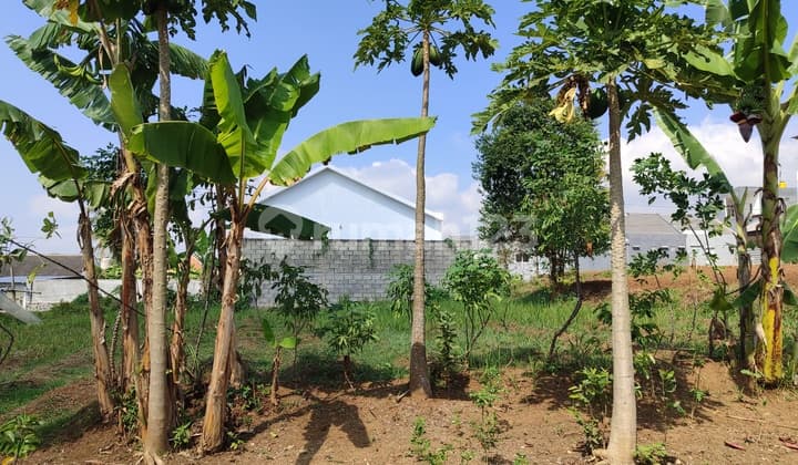 TANAH SIAP BANGUN MURAH POTENSIAL SHM DEKAT KAMPUS MALANG