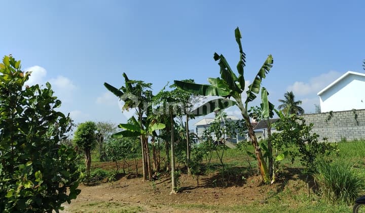 TANAH DEKAT KAMPUS SHM MERJOSARI MALANG NEGO