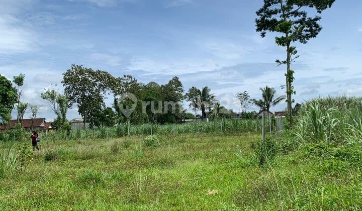 TANAH MURAH HANYA 2 MENIT DARI BANDARA MALANG
