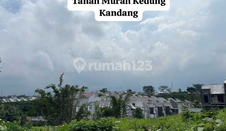 TANAH MURAH SHM PINGGIR JALAN RAYA WAGIR MALANG SIAP BANGUN NEGO