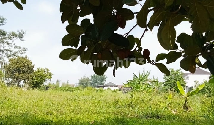 Tanah Kavling Perumahan dengan Akses Jalan Lebar