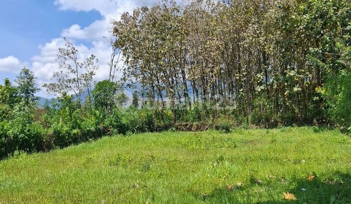 TANAH LEGALITAS AMAN COCOK UNTUK HUNIAN DEKAT UIN 3