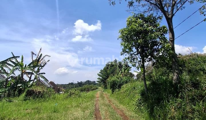 TANAH KAVLING DEKAT UIN 3 - SHM