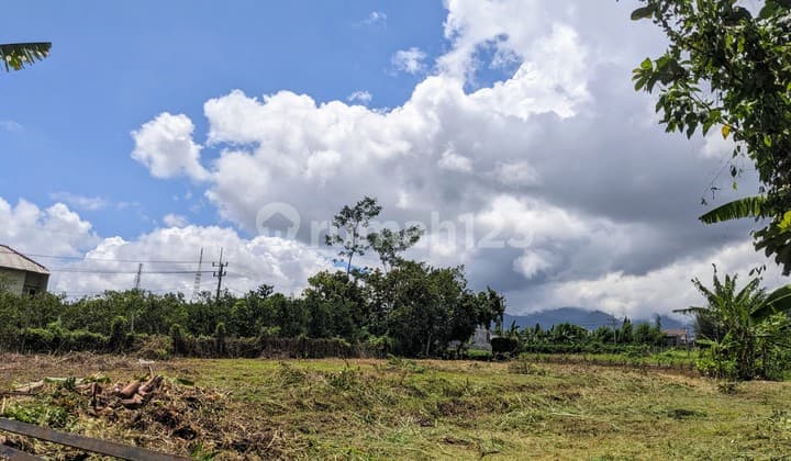 Tanah Murah Dekat Kawasan Pusat Pendidikan Malang