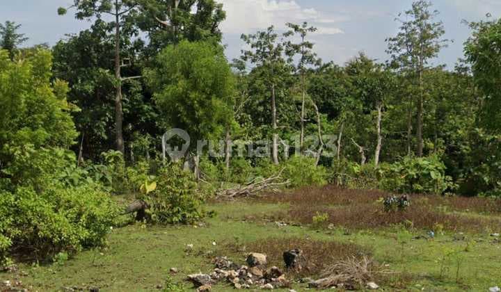 Dijual Tanah Strategis Jalan Utama Pantai Balangan Zona Pink