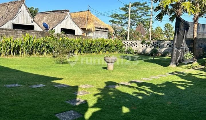 Dijual Cepat Tanah Jalan Utama Pantai Lima Dekat Pantai Area Perenanan Canggu Bali
