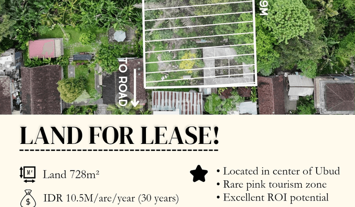 Pink Zone Land For Lease In Ubud Centre