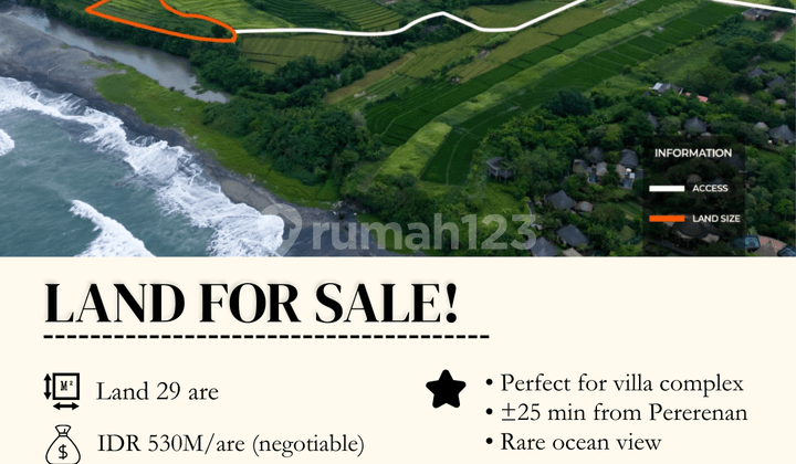 For Sale Rare Land Tabanan Beachside Oceanview 29 Are