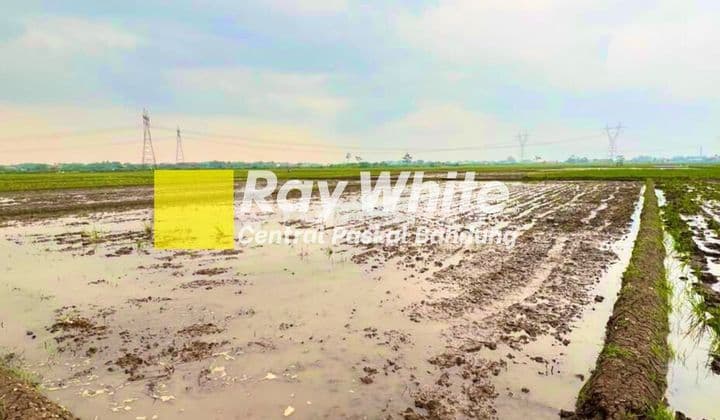 Tanah di Kebontiwu Majalaya