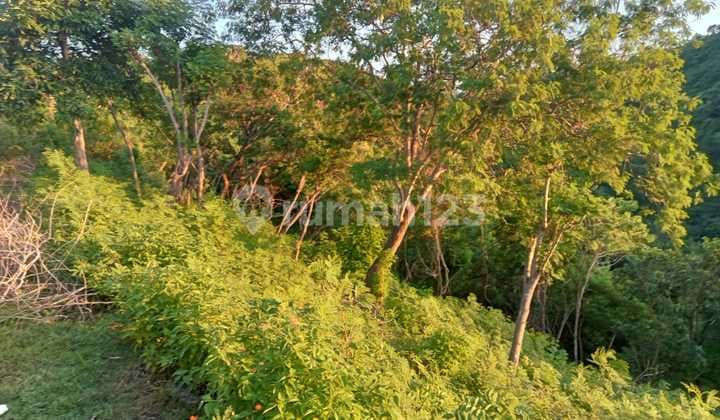 Tanah Murah View Gunung Agung di Nusa Penida Bali