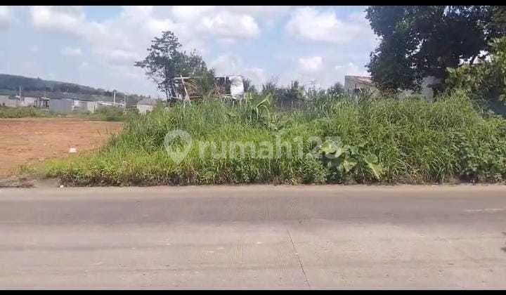 Vacant Land for Sale in Cikuda, Parung Panjang