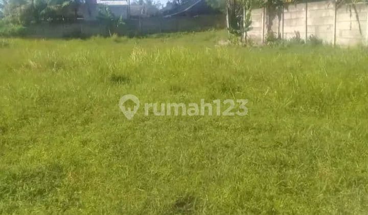 Dijual Cepat & Murah, Tanah Di Jl. Bantarpanjang, Tigaraksa, Tangerang, Bentuk Tanah Bagus Kotak