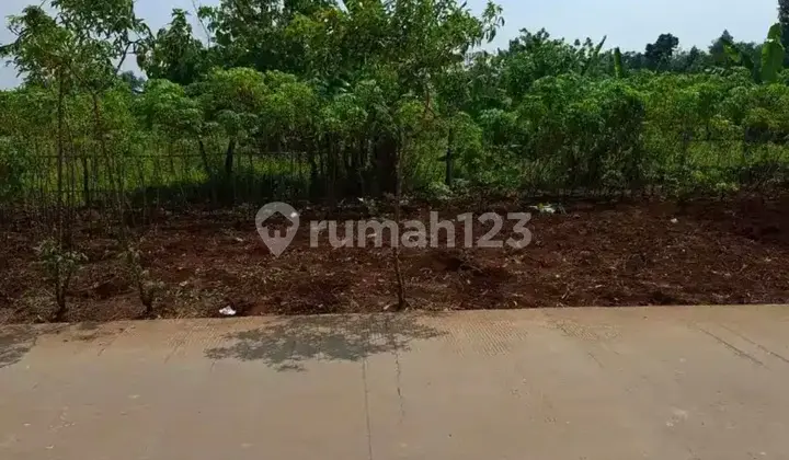 Bulusan Land Kramas Mulawarman Quick Sale Near Undip