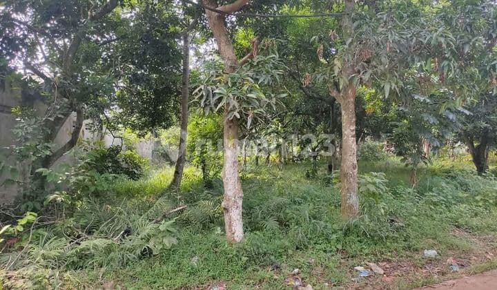 Dijual Tanah Siap Bangun Dalam Komplek Di Cileungsi Bogor
