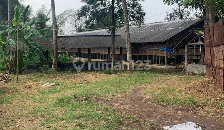 LAND FOR SALE, BULAKSAGA, CISEENG BOGOR, AREA 1.2 HA.