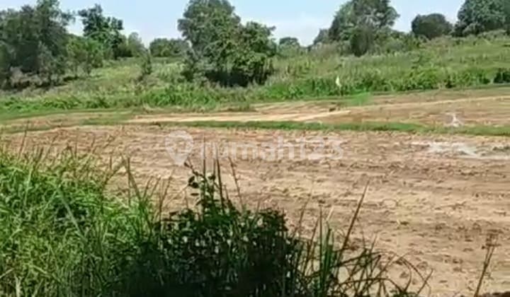 DIJUAL CEPAT LAHAN TANAH MURAH DI TENJO BOGOR / THE NEXT SERPONG