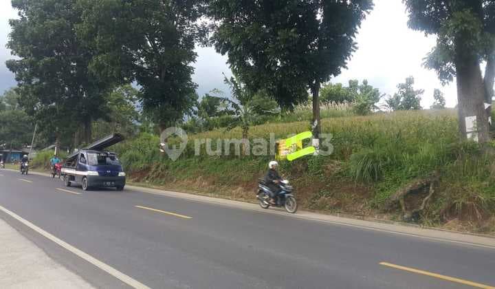 Tanah Matang Murah Bagus Luas 3420.0 M² AJB di Jalan Raya Nagreg