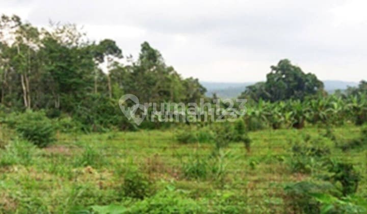 Tanah Strategis Cocok untuk Tempat Wisata di Pelaga Tt