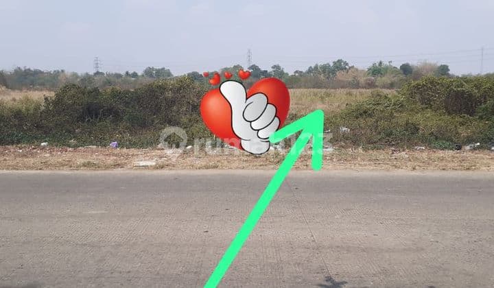 Dijual Tanah kavling jln pemda tigaraksa
Cocok utk showroom. Rumah makan. Cucian mobil. Bengkel
Selangka menuju tol. Perumah citra raya.
Luas 15 x 30 m2. (450 m2 )
Harga 3.5 juta nego
Surat SHM
Hubungi
Lia Lim MR GI
08788317xxxx