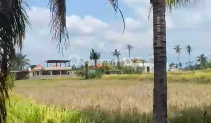 Tanah Luas Strategis di odtunduh Ubud Bali