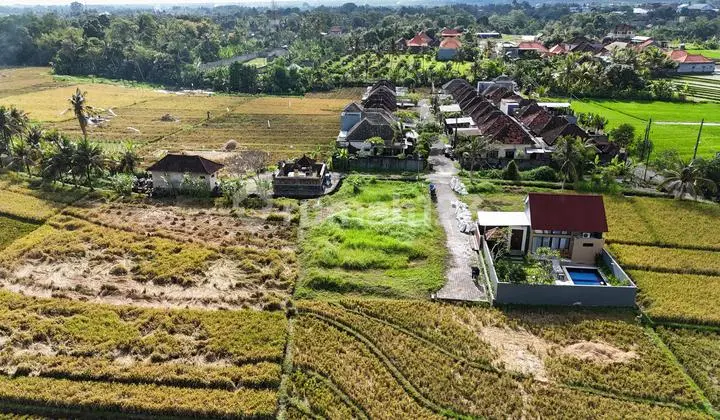 Tanah Luas Zona Kuning Siap Bangun di Tabanan Bali