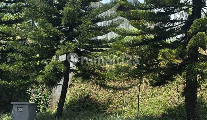 Dijual Tanah Luas Bentuk Kotak bisa Nego Hadap Tenggara Siap Bangun di Pondok Hijau