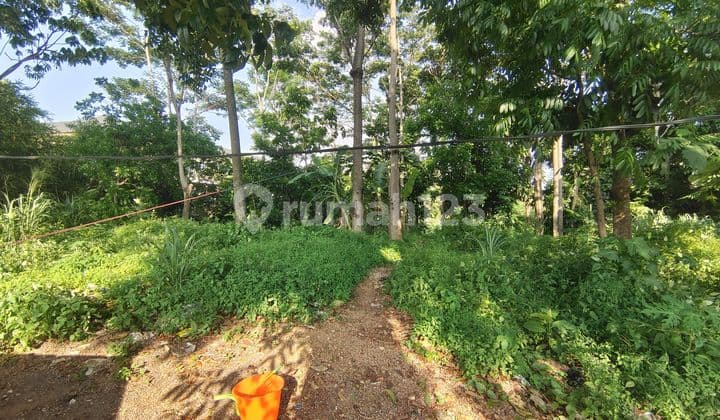 Dijual Tanah Luas Strategis Cocok untuk Hotel Showroom Kantor Resto Kost-kostan Dipusat Kota Cianjur Dekat Citimal Cianjur Sebelah Polres Downslope bisa untuk Basement Dikelilingi pemukiman pada di Cianjur