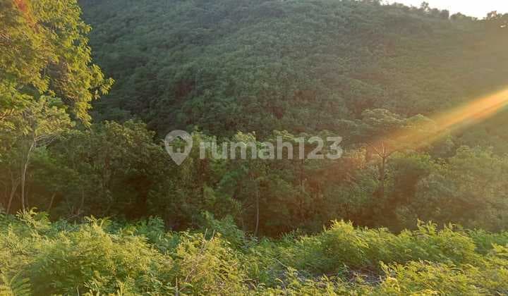 Jual Tanah Luas Banyak Villa di Sekitarnya Tanah di Bukit View Laut Sunset Gunung Agung di Nusa Penida Bali