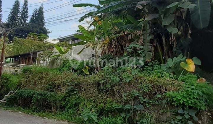 TANAH LUAS dan ASRI di Ligar Cigadung Dago Bandung Kota