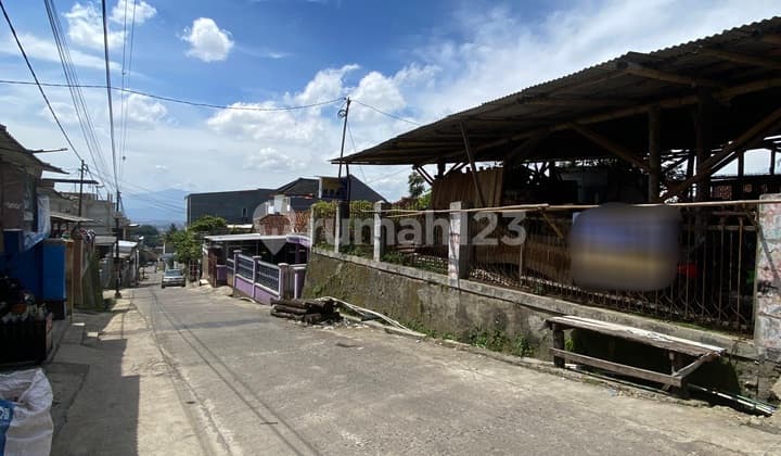 Tanah Matang di Jatihandap Cicaheum Bandung