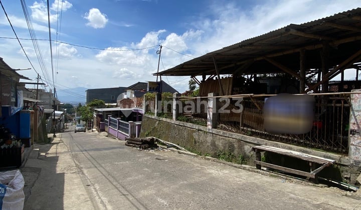 Tanah Matang di Jatihandap Cicaheum Bandung
