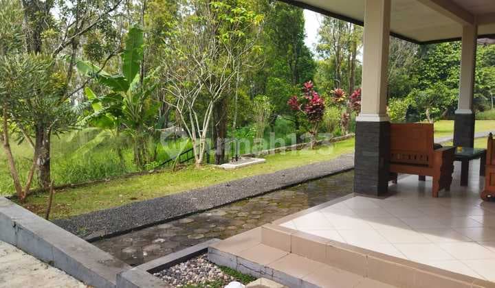 Tanah Matang Di Sindanglaya Arcamanik U/perumahan Sekolah Alam