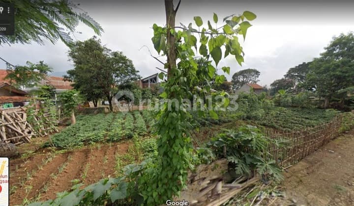 Tanah Matang Di Tanjungsari Sumedang Dekat Terminal Dan Tol
