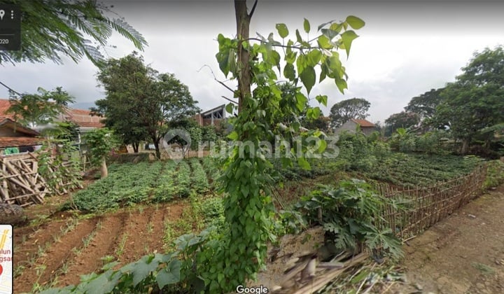 Tanah Matang Di Tanjungsari Sumedang Dekat Terminal Dan Tol