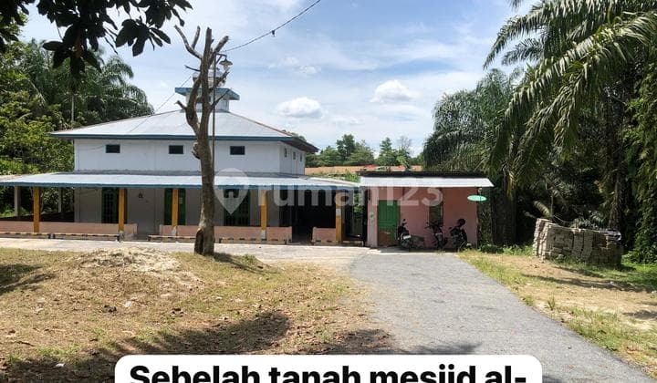 Tanah Dan Kebun Sawit Dijual di Belakang Spbu Km 6 Duri