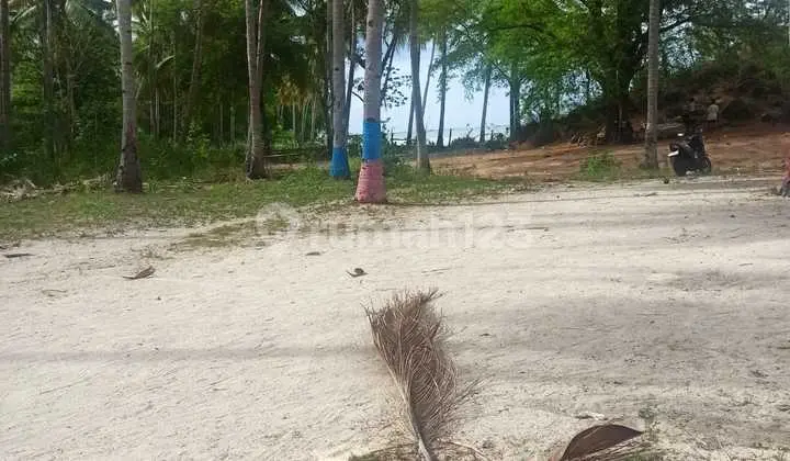 Land For Sale At Torong Besi Beach Reo Ntt