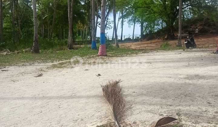 Dijual Tanah Di Pantai Torong Besi Reo Ntt
