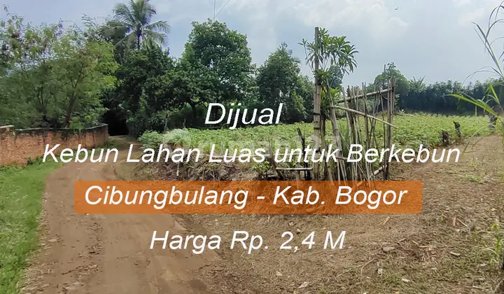 Dijual Rumah dan Lahan Luas Akses Aspal Masuk Mobil view Gunung Kapur Cibungbulang Kabupaten Bogor.