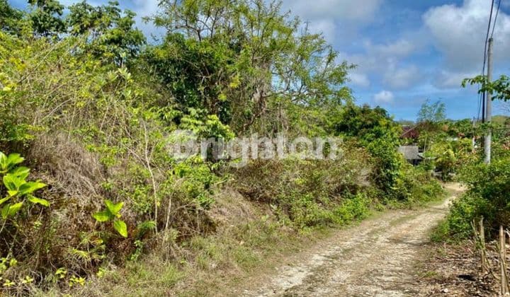 Tanah Dijual Strategis Dibawah NJOP di Jimbaran Kuta Bali Dekat Gwk dan Jl Raya Kampus Udayana Cocok&Nbsp; untuk Villa, Rumah dan Kos-Kosan