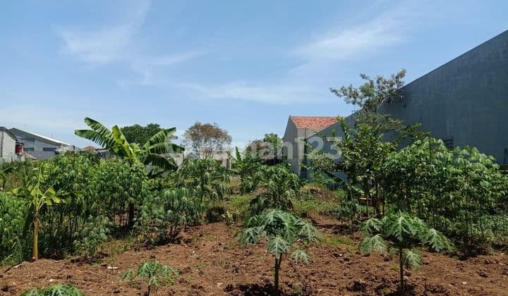 Tanah Kebun Siap Bangun di Margahayu Kopo Katapang*